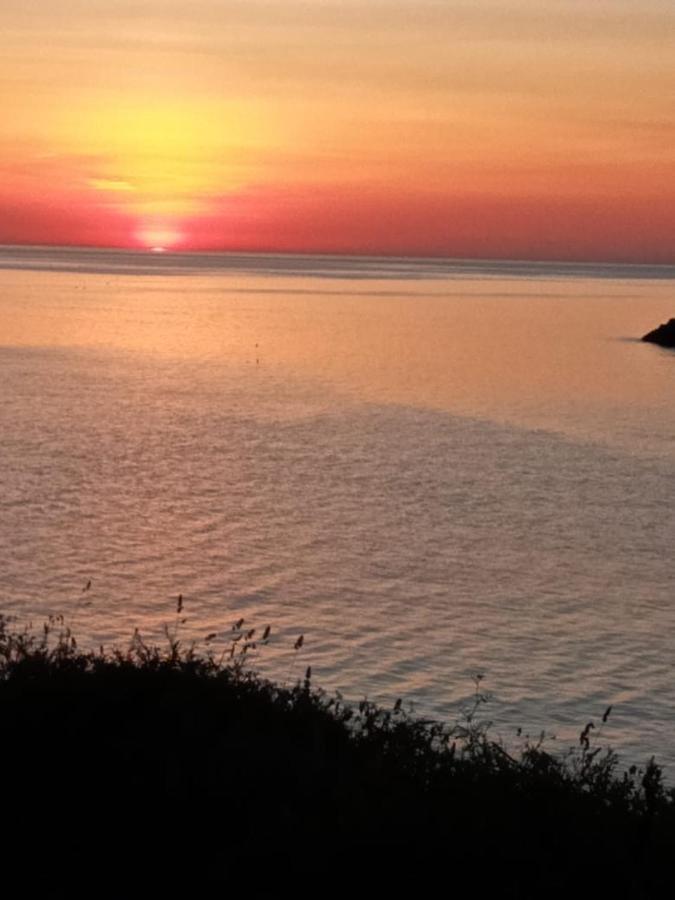 2rb38a Vue Sur Et Proche * Collioure